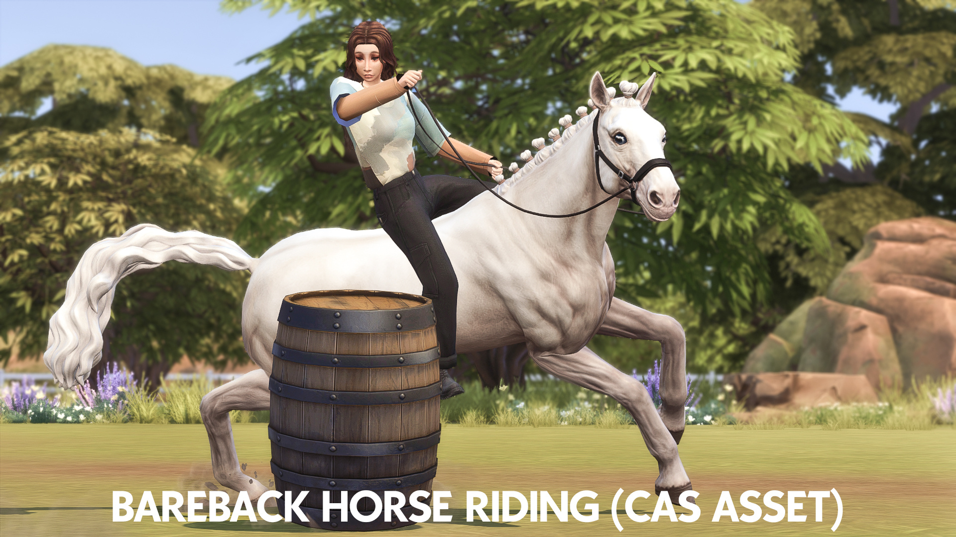 Bareback Horse Riding