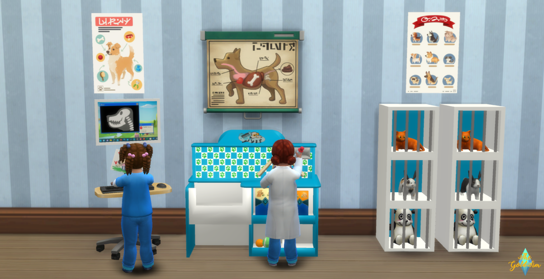 Toddler Vet Clinic