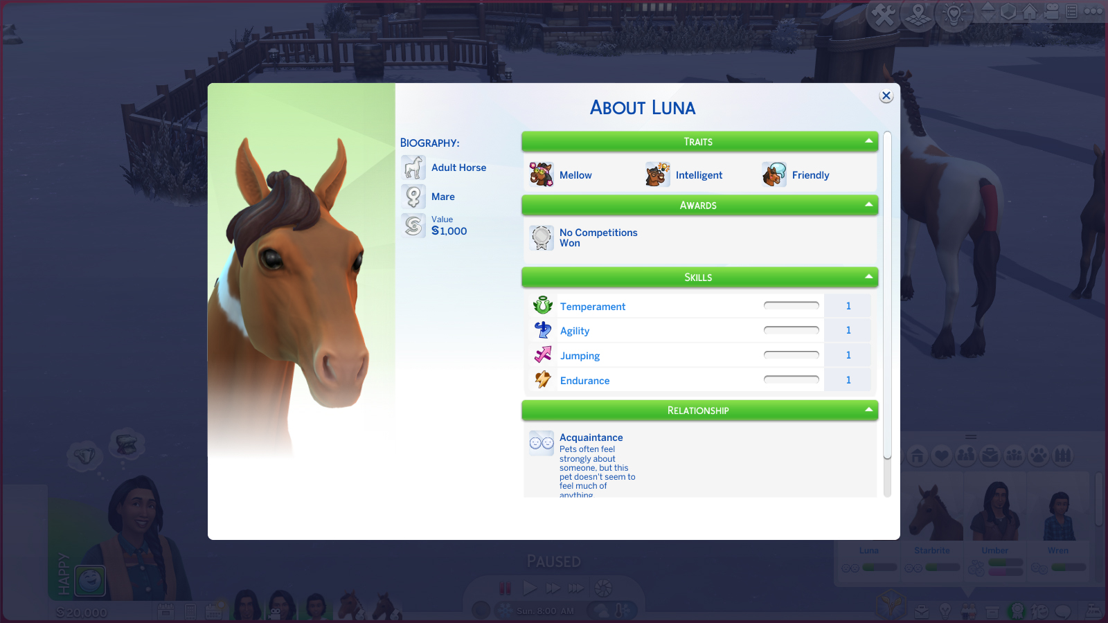 Improving Skills After Horse