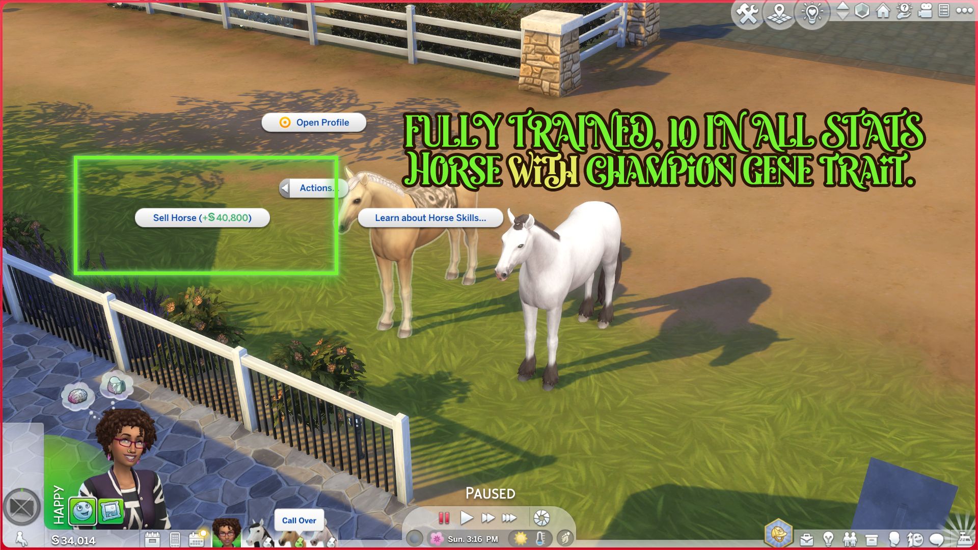 Horse Breeding Tweaks 