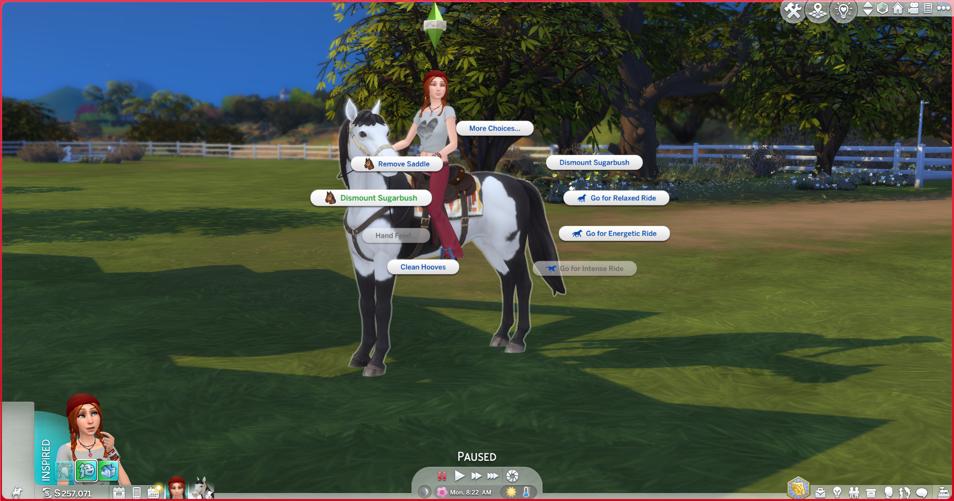 Better Saddle Control