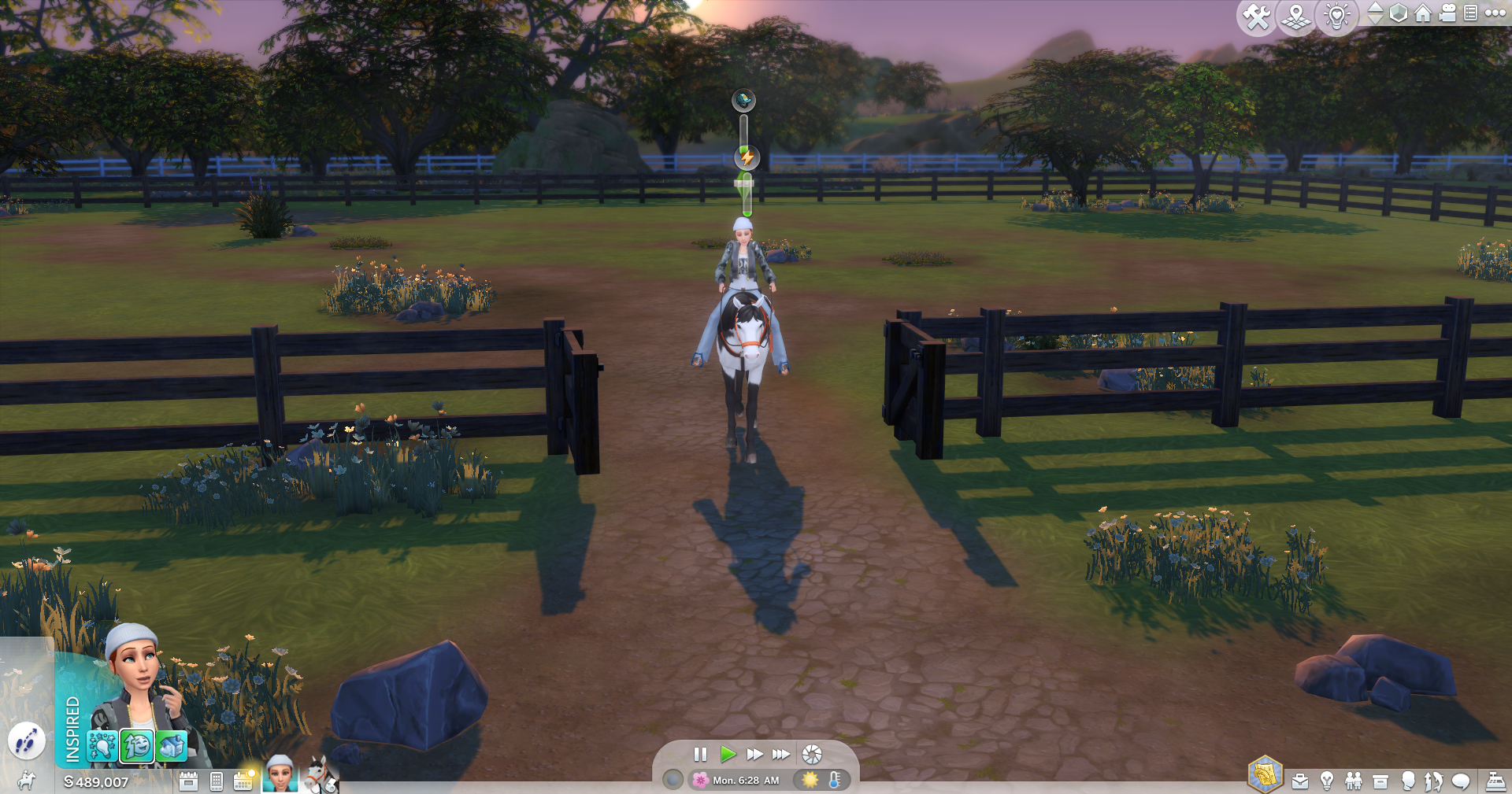 Special Paddock Gate & Stable Stall Door